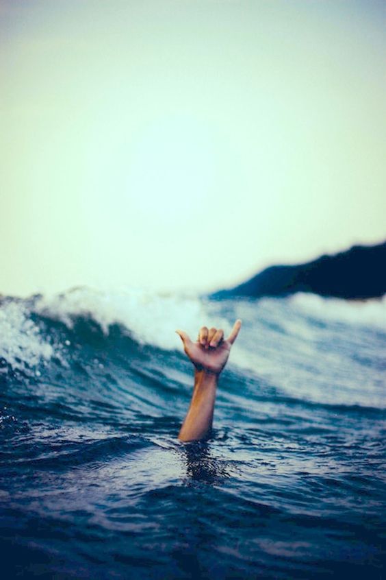 d1fb5808fe12a5e3a76c90e483793f7b